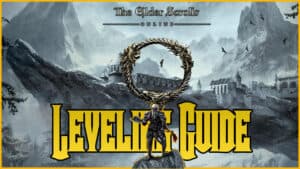 DDO Leveling Guide 1-20 and Epic Leveling 20-30