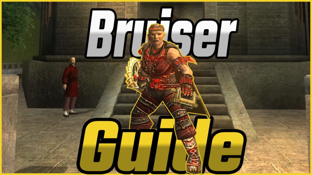 EQ2 Bruiser Guide