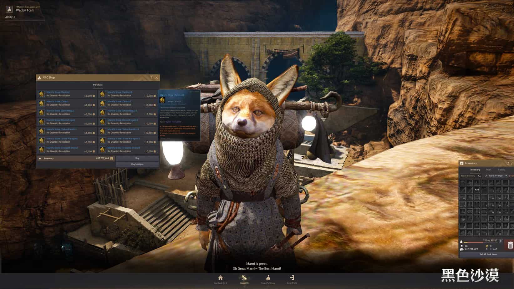 Black Desert Online Leveling Guide The Fastest Way to Reach Level 62+